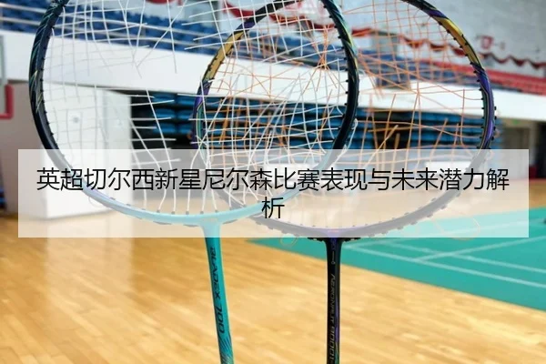 英超切尔西新星尼尔森比赛表现与未来潜力解析（MILE）
